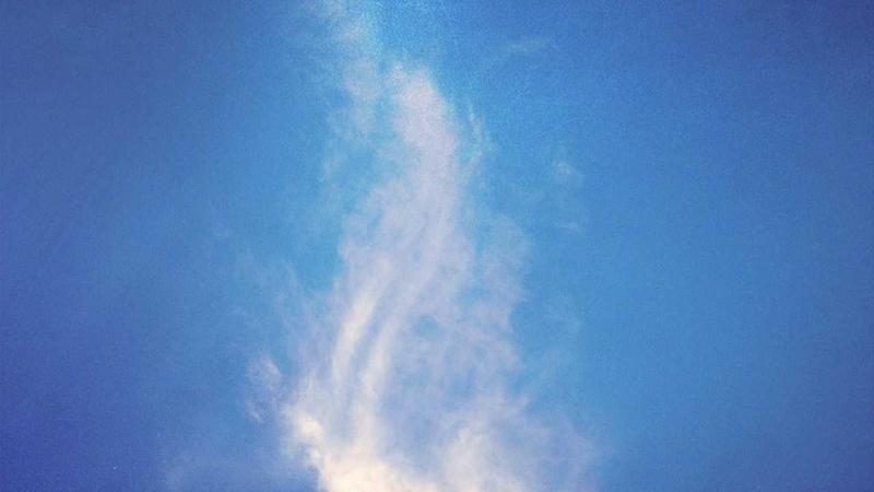 bl小说每日更新特色亮点